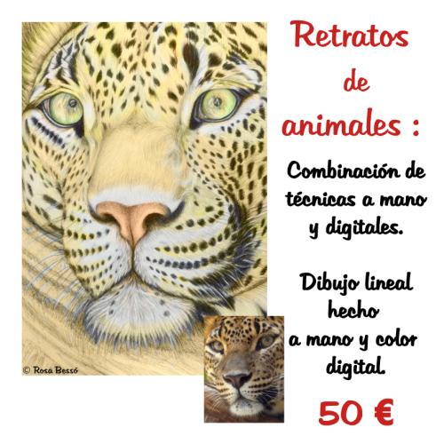 Encargos de retratos humanos y de animales