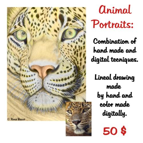 Commissions of humans and animals portraits