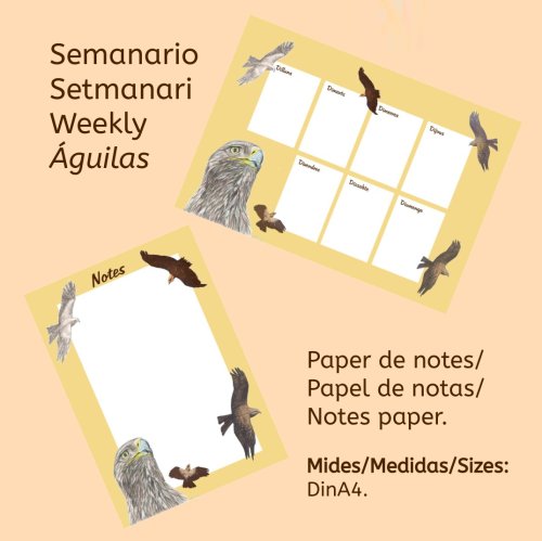 Papel de notas y semanario 