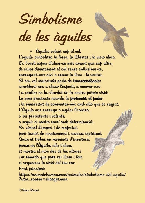 Agenda perpetua Águilas (DISPONIBLE en AMAZON)