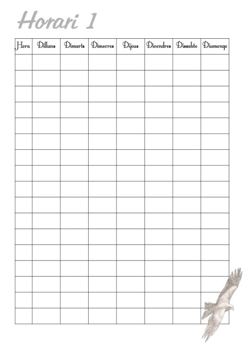 Agenda perpetua Águilas (DISPONIBLE en AMAZON)