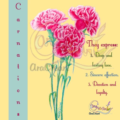 Carnations of love Saint Valentine day (English)(digital)  (Nuevo)
