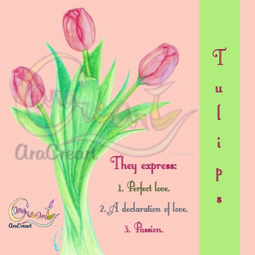 Tulips of Love for Saint Valentines day (English)(digital) 