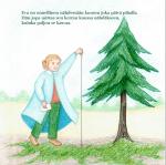 Kuusen taika (painettu paperille)