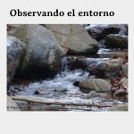 Retos para escribir relatos cortos ilustrados (en español) (en papel)