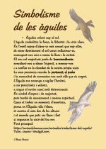 Agenda perpetua Águilas (DISPONIBLE en AMAZON)