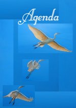Agenda perpètua Martinets/Agrons (DISPONIBLE a AMAZON)